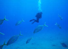 flights to cagayan de oro|cheap airline tickets to morocco.
